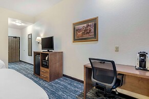 Comfort Inn & Suites Mt. Rushmore