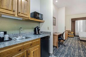 Comfort Inn & Suites Mt. Rushmore