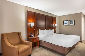 Comfort Inn & Suites Conway