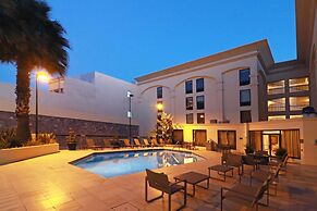 Hampton by Hilton Chihuahua