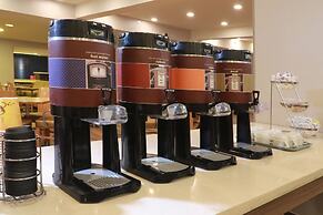 Hampton by Hilton Chihuahua
