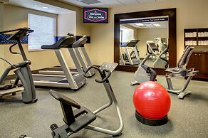 Hampton Inn & Suites Miami-Airport South-Blue Lagoon