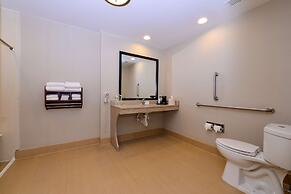 Hampton Inn Chicago-Carol Stream