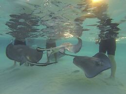 Wyndham Reef Resort Grand Cayman