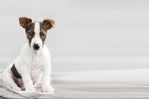 HYATT house Dallas/Lincoln Park