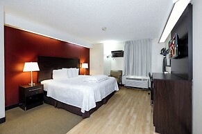 Red Roof Inn PLUS+ Palm Coast