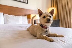 Hotel 116, A Coast Hotel Bellevue