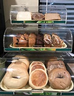 Quality Inn & Suites Lacey Olympia