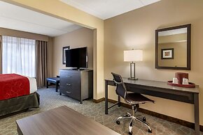 Comfort Suites Alpharetta/Roswell - Atlanta Area