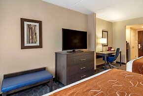 Comfort Suites Alpharetta/Roswell - Atlanta Area