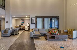 Comfort Suites Alpharetta/Roswell - Atlanta Area