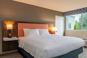Hampton Inn Manchester Downtown