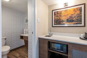Hampton Inn Manchester Downtown