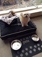 Trump International Hotel & Tower New York