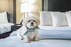 Econo Lodge Cleveland Southeast - Kent