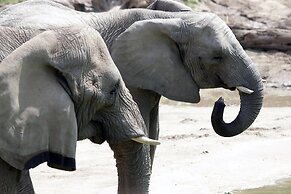 Crowne Plaza Hotel Dallas Downtown by IHG