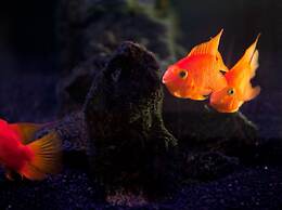 Washington Plaza Hotel