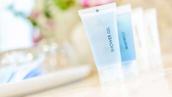 Magnuson Hotel Mountain View