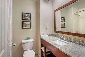 Comfort Inn Petersburg Near Fort Gregg-Adams