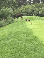 Americas Best Value Inn & Suites Anchorage Airport