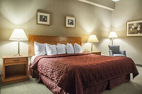 Comfort Inn Lundys Lane