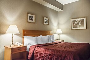 Comfort Inn Lundys Lane