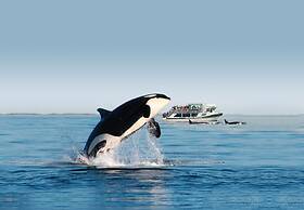 Coast Victoria Hotel & Marina by APA