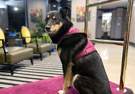 Coast Victoria Hotel & Marina by APA