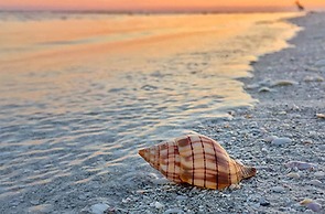 Sanibel Inn
