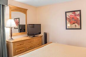 Econo Lodge Raleigh near Walnut Creek Amphitheatre