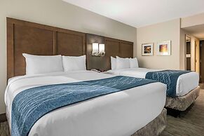 Comfort Inn & Suites Downtown Brickell - Port of Miami