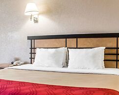 Econo Lodge Inn & Suites Colonie Center Mall