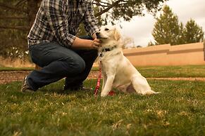 Mountain Modern Sedona