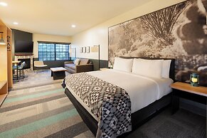 Mountain Modern Sedona