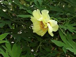 Okanagan Lakefront Resort