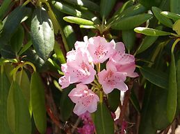 Okanagan Lakefront Resort