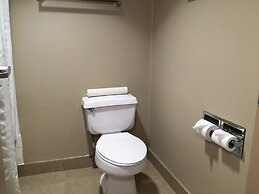 Comfort Inn & Suites near Kino Sports Complex