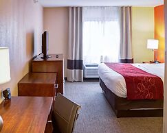 Comfort Suites Omaha Northwest