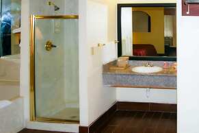 Econo Lodge Inn & Suites West - Energy Corridor