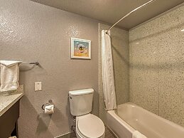 Amanzi Hotel, Ascend Hotel Collection