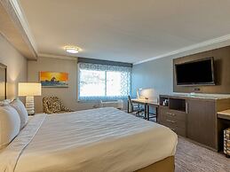 Amanzi Hotel, an Ascend Collection Hotel