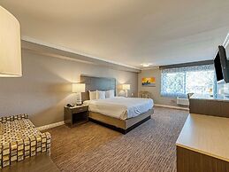 Amanzi Hotel, Ascend Hotel Collection
