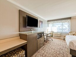 Amanzi Hotel, an Ascend Collection Hotel