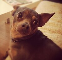 Days Inn by Wyndham Berthierville