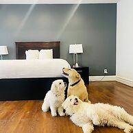 Econo Lodge Hotel Brossard