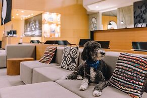 Delta Hotels by Marriott, Mont Sainte-Anne, Resort & Convention Center