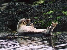 Isles Of Glencoe Hotel