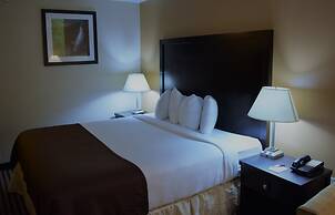 Baymont by Wyndham Dallas/ Love Field