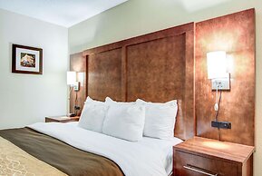 Comfort Inn And Suites Athens