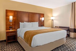Comfort Inn And Suites Athens